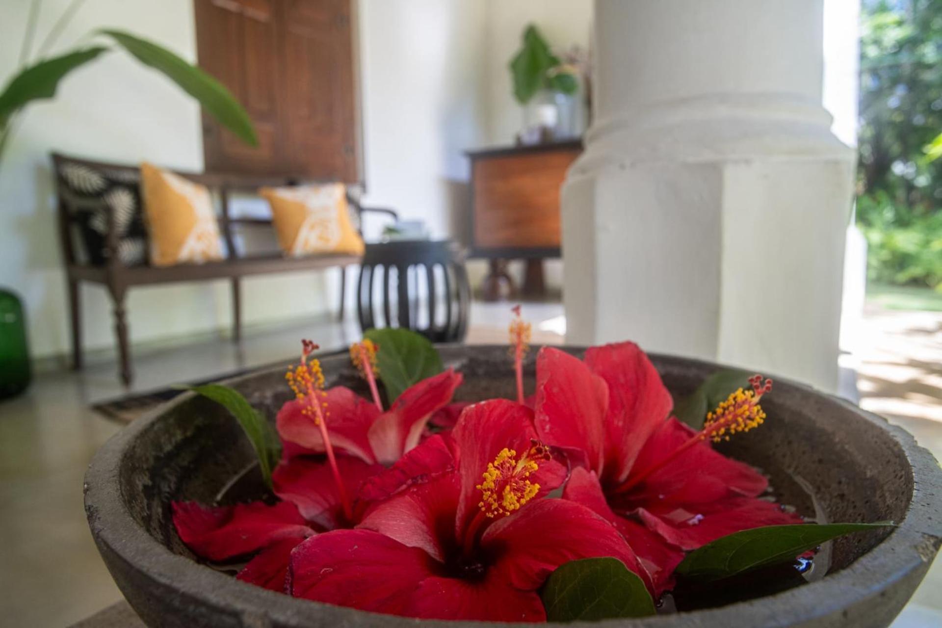 Mo River House Luxury Villa Hikkaduwa Εξωτερικό φωτογραφία